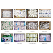 China cheap garlic/naturel ali/fresh garlic/fresh garlic for sale